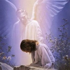 Meet your Posher, Rosalie